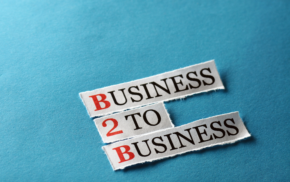 B2B SEO services